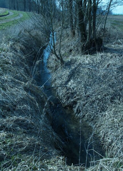 ملف:Dunkgraben 09.JPG