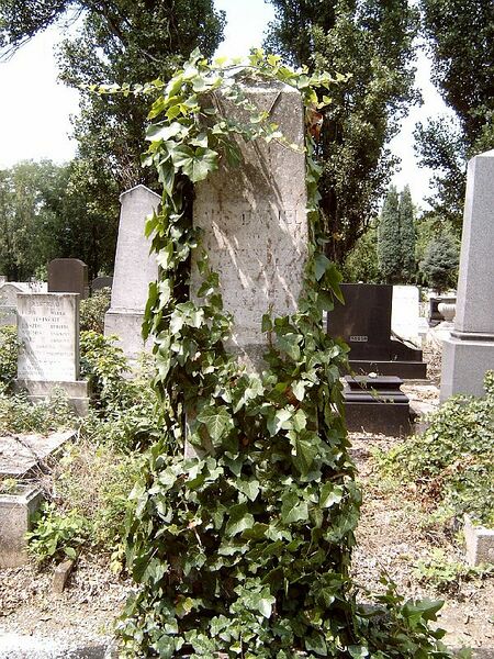 ملف:Jób Dániel sírja.jpg