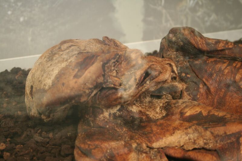 ملف:Lindow Man 04.JPG