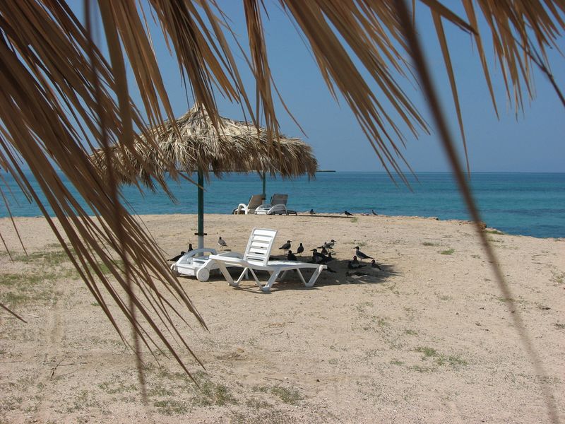 ملف:Mouchaislb.jpg