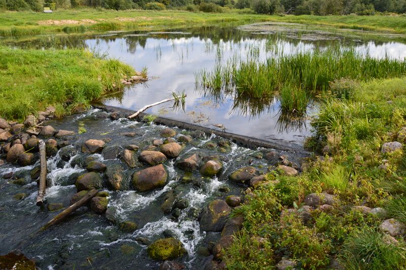 ملف:Pärlijõgi Sännas.JPG