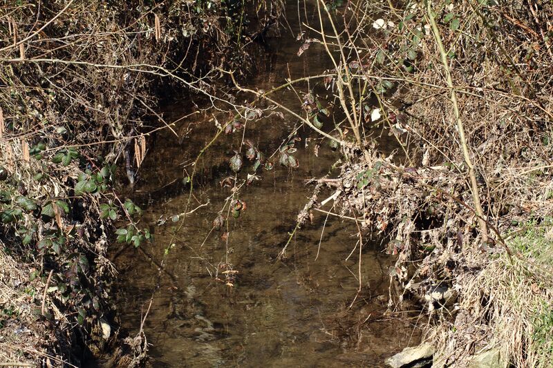 ملف:Gruppenbach 5266.jpg