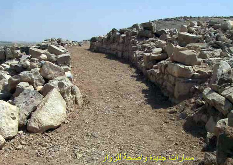ملف:Pathways.jpg