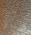 Rub' al Khali (Arabian Empty Quarter) sand dunes imaged by Terra (EOS AM-1).jpg