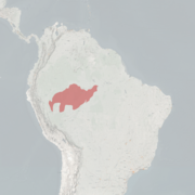 خريطة النطاق