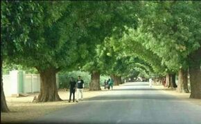 مدخل مدينة بارا