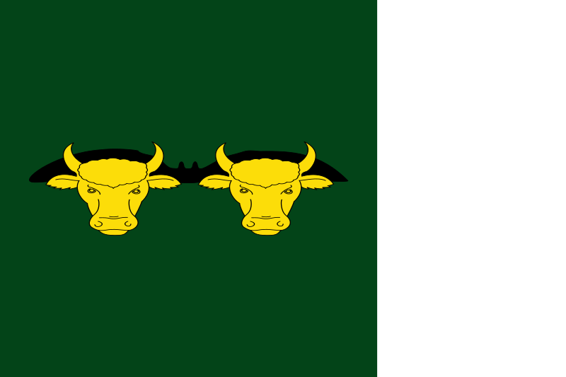 ملف:Bandera de Rocallaura.svg