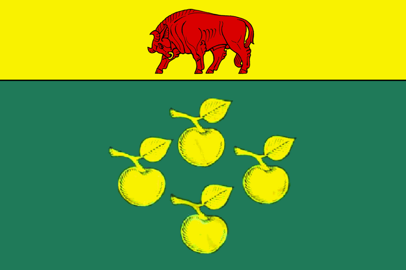 ملف:Flag of Kislovskoe.png