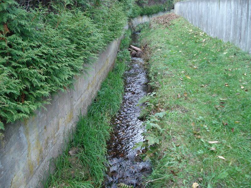 ملف:Kurzer Lohrbach.JPG