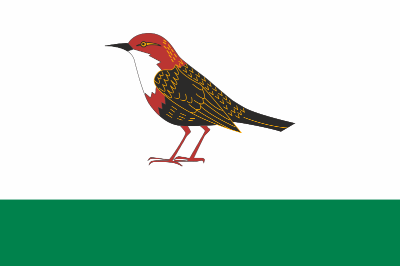 ملف:Flag of Birsk.svg