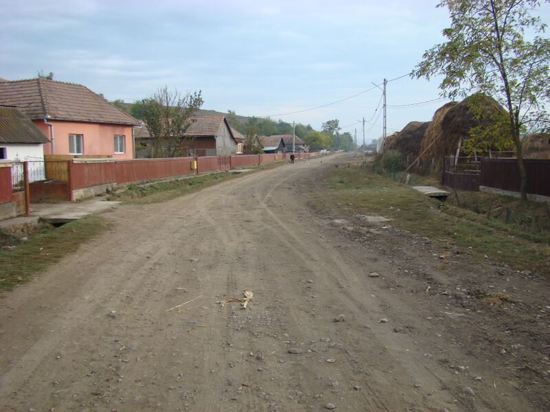 ملف:RO MS Visinelu 57.jpg