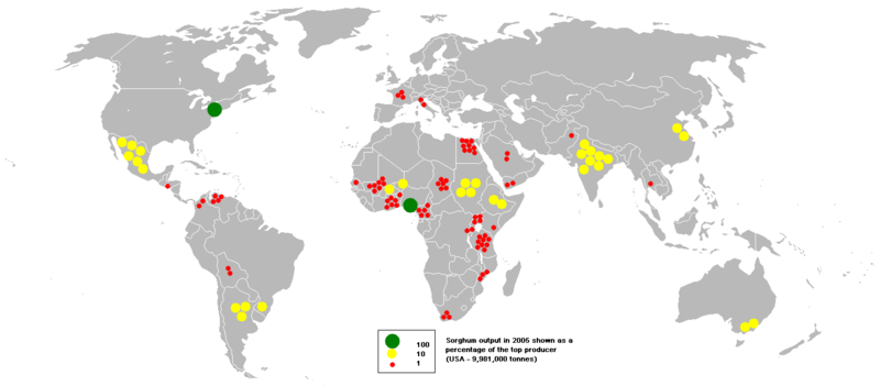 ملف:2005sorghum.PNG