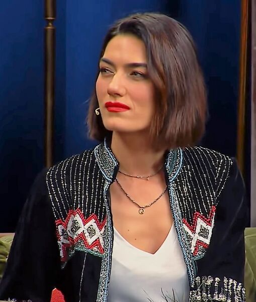 ملف:Hande Subaşı on Tolgshow.jpg