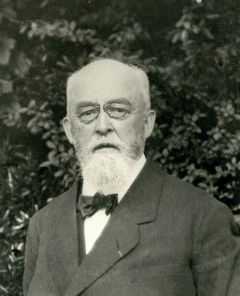 ملف:Maurice Jeannel en 1915.jpg