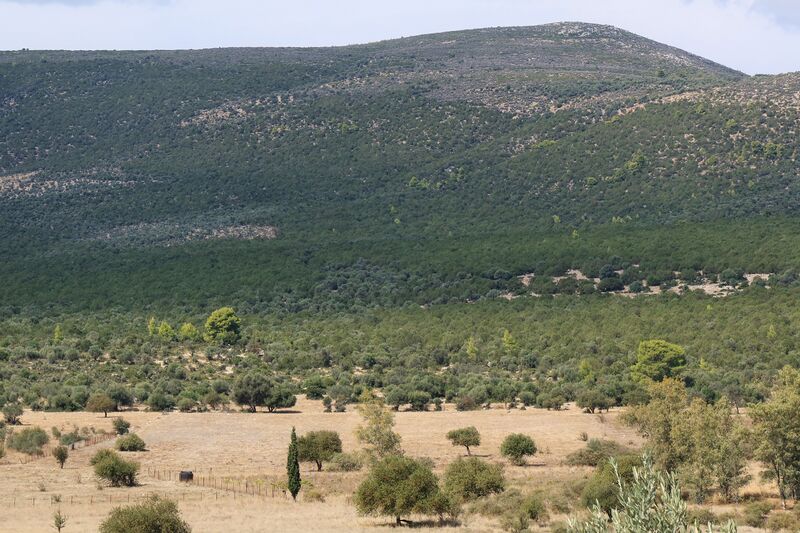 ملف:Argolid Peninsula hills (50451668407).jpg
