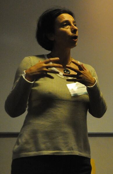 ملف:Chrisanthi Avgerou 2008.jpg