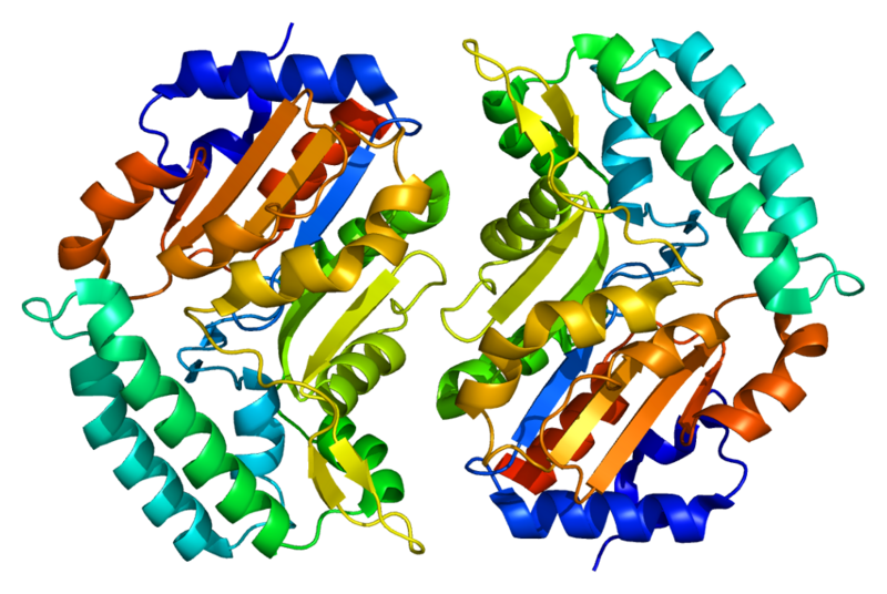 ملف:Protein NT5C3 PDB 2bdu.png