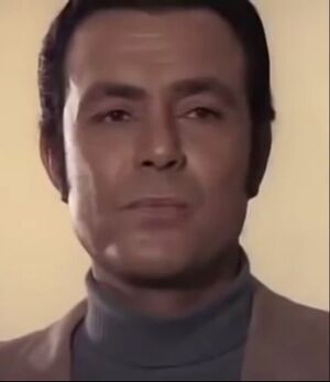 Salah Zulfikar 72.jpg