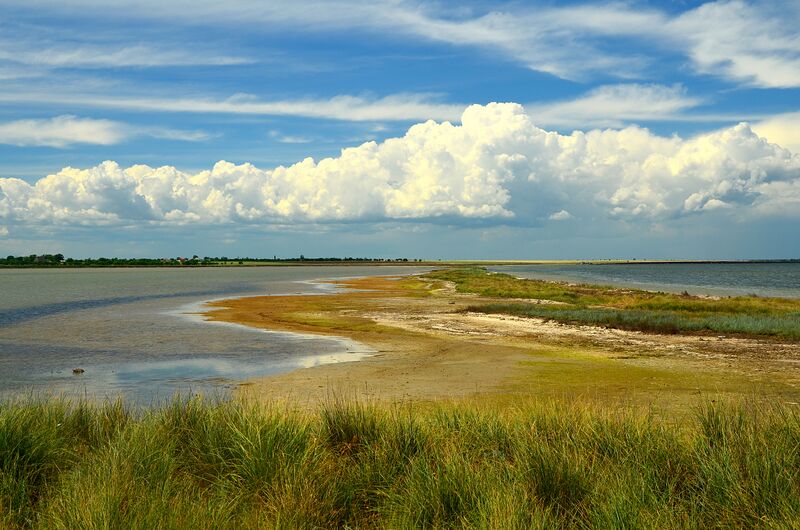 ملف:Піщано-мулисті коси лиману Шагани.jpg