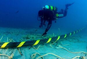 مسار المرشدين للكابلات1.jpg