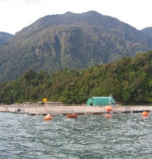 Photo of shoreline with buildings next to the shore and woody hillside in the background