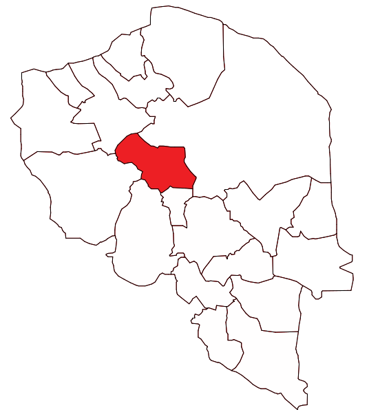 ملف:Bardsir County.svg