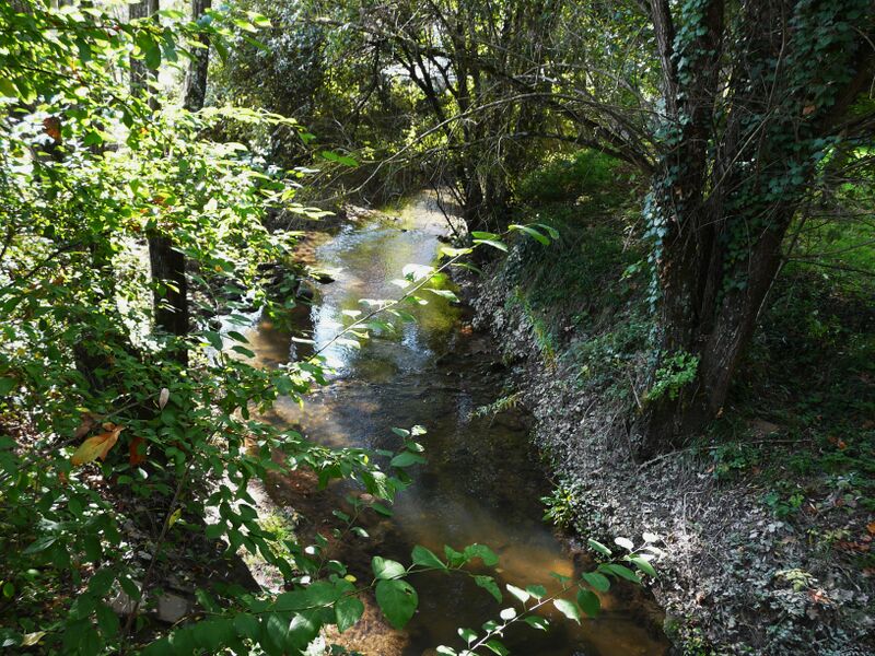 ملف:Gestas Vayres (2).JPG