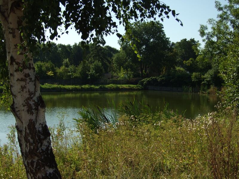 ملف:Nové Strašecí, rybník.JPG