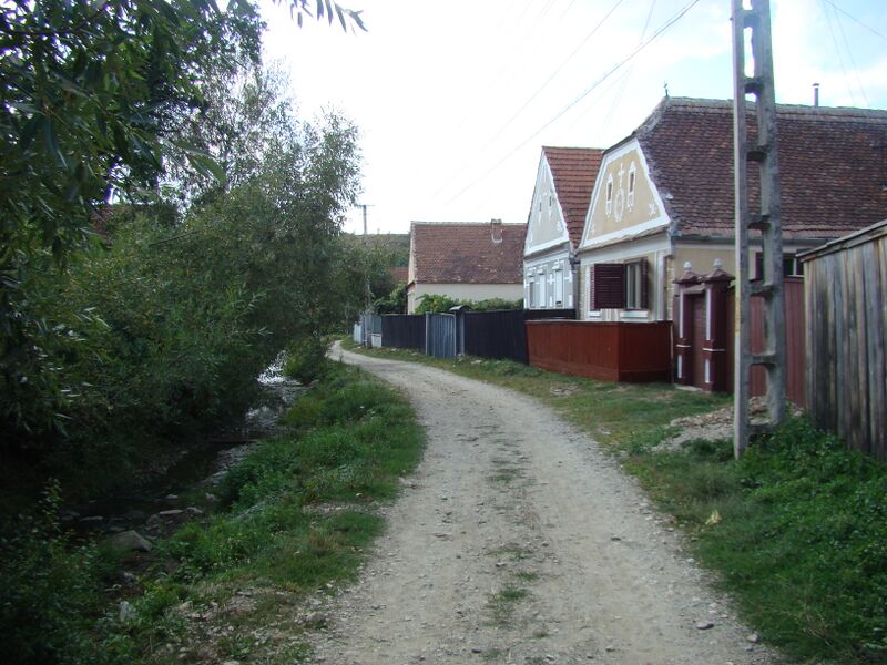 ملف:SarataSB (5).JPG