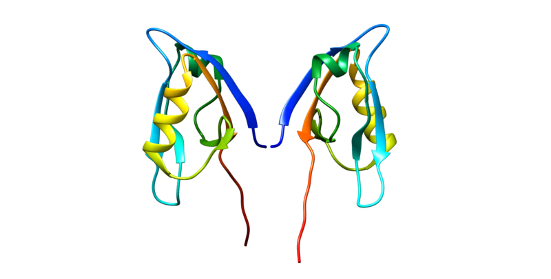 ملف:CXCR2.png