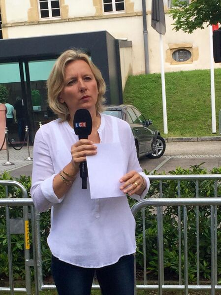 ملف:Caroline henry TF1.jpg