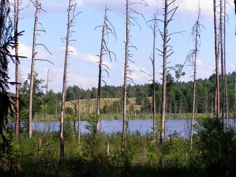 ملف:KarulaSavijärv.JPG