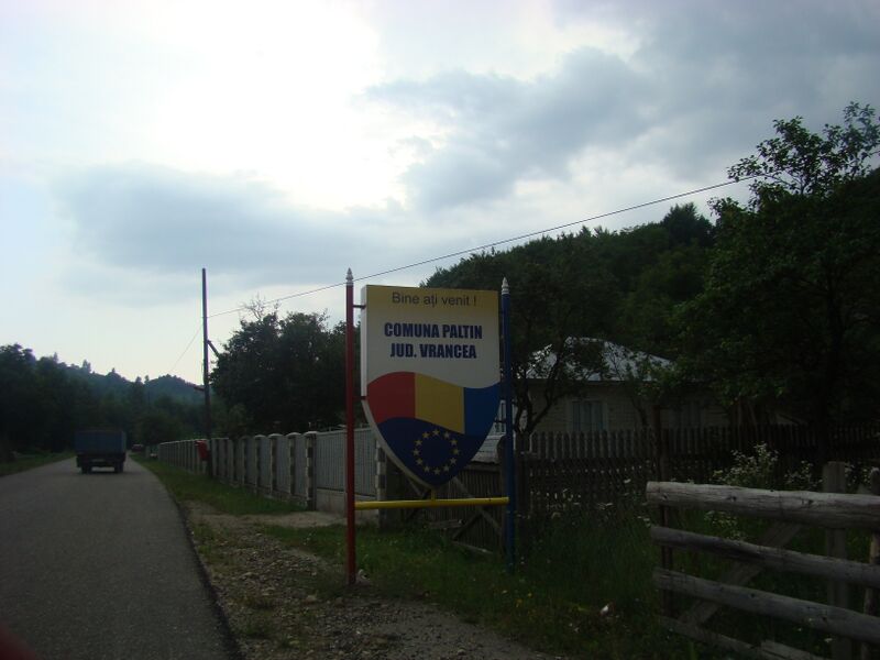 ملف:RO VN Paltin 1.jpg