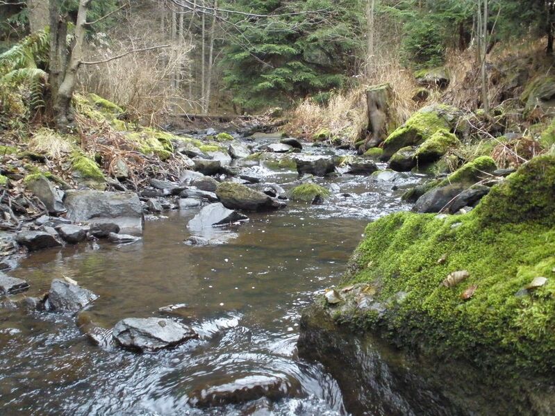 ملف:Ratibořský p. (24).JPG