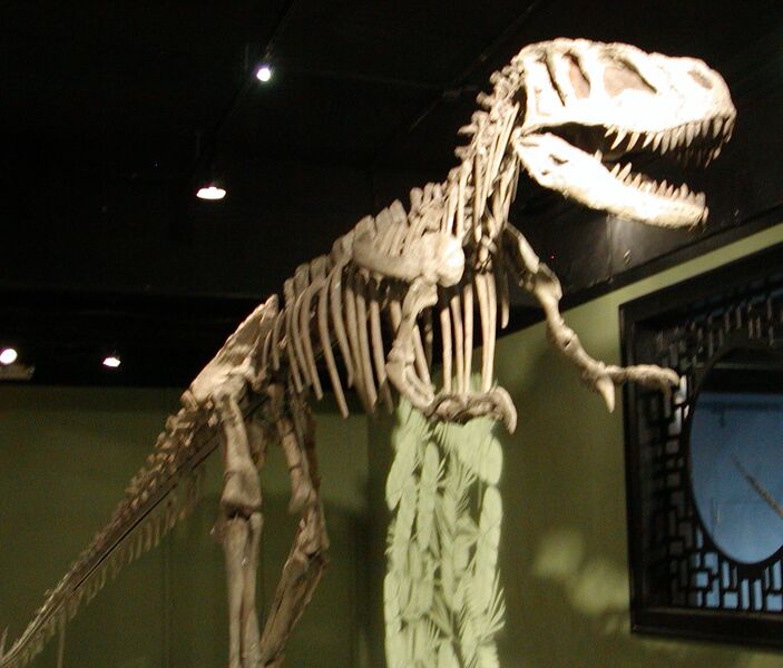 ملف:Sinraptor hepingensis.jpg