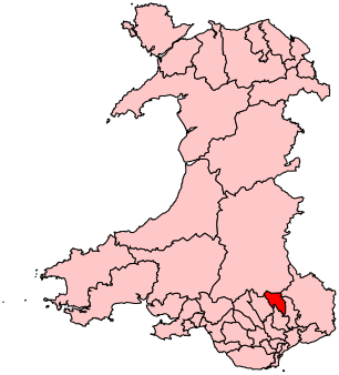 ملف:BlaenauGwent2007Constituency.svg