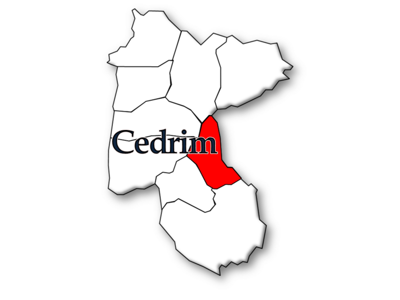 ملف:Cedrim.PNG