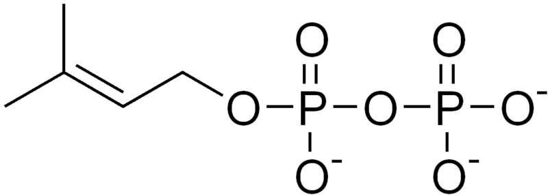 ملف:DMAPP.png