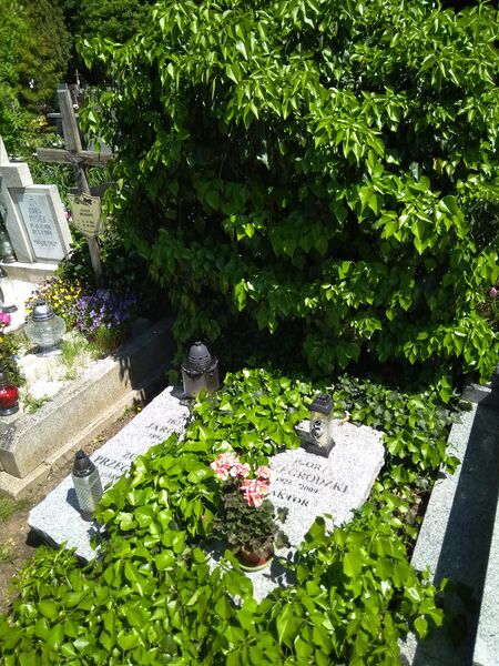 ملف:Grób Igora Przegrodzkiego.jpg