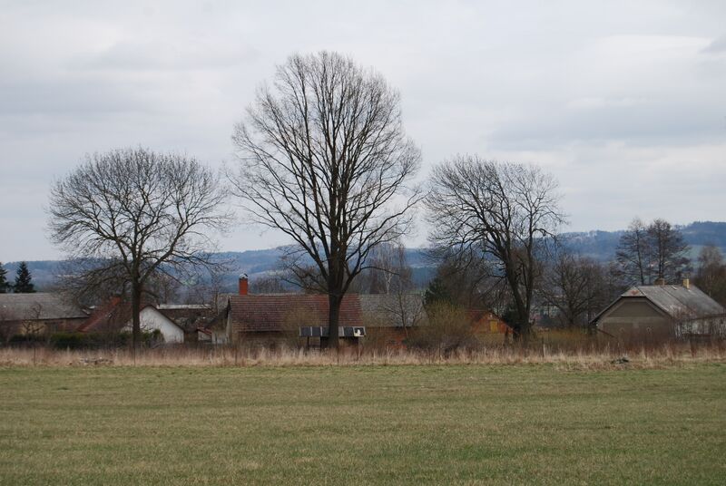 ملف:Krchov (Petrovice) (2).jpg