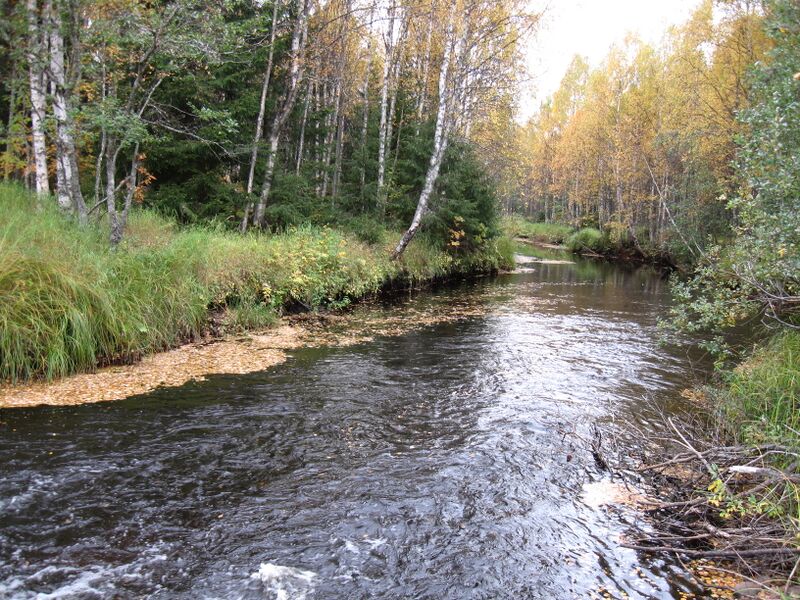 ملف:Kuorejoki Puolanka.JPG