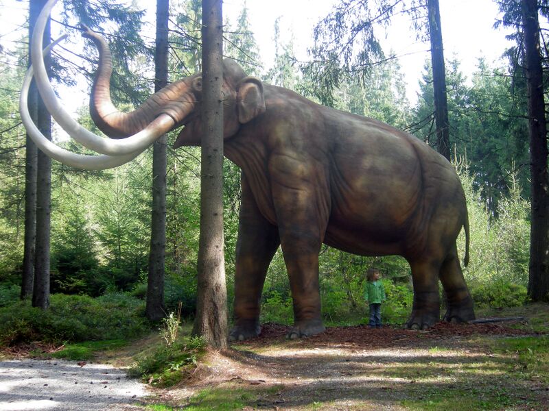 ملف:Mammoth Mammut model.JPG