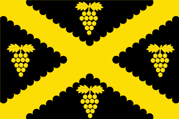 ملف:Wijnegem vlag.svg