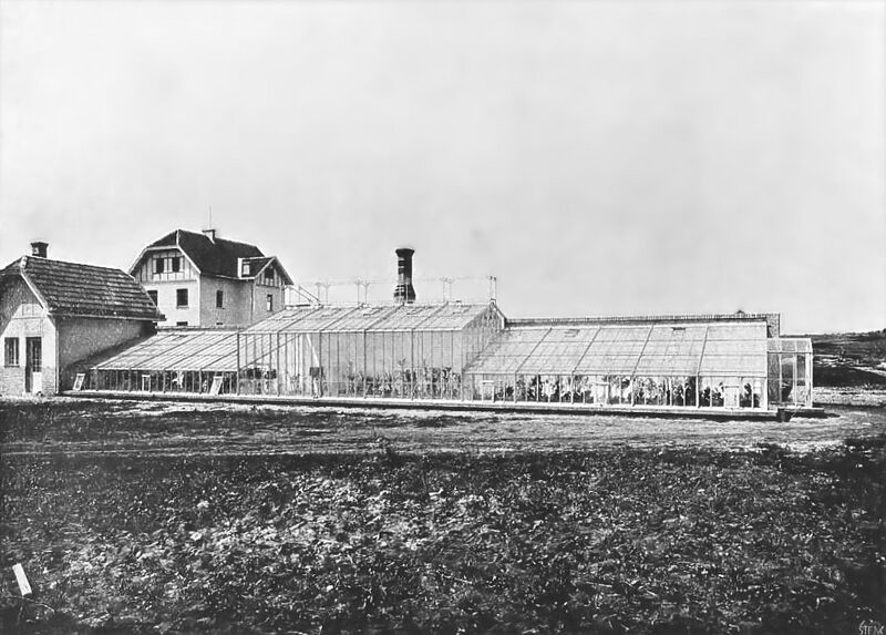 ملف:Kremsier Glashaus.jpg