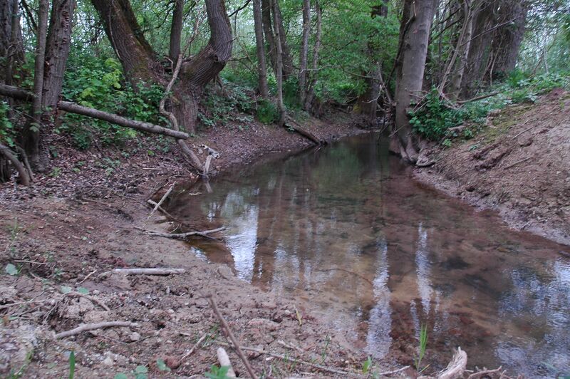 ملف:Meckesheim - Lobbach (Elsenz).JPG