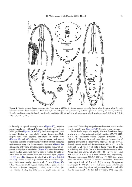 ملف:Parasite journal) 2013, 20, 43, Watermeyer, Setaria.pdf