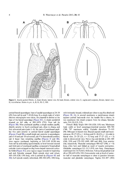 ملف:Parasite journal) 2013, 20, 43, Watermeyer, Setaria.pdf