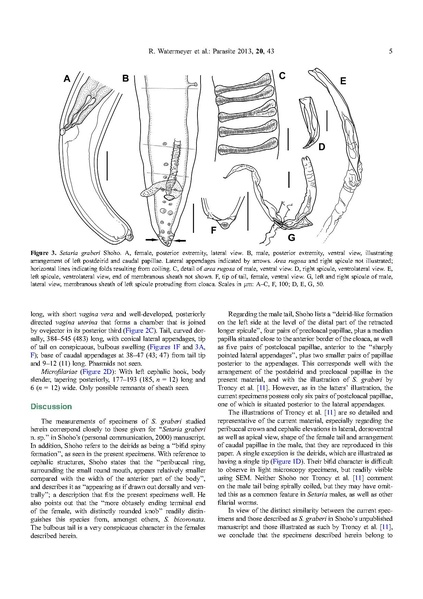 ملف:Parasite journal) 2013, 20, 43, Watermeyer, Setaria.pdf