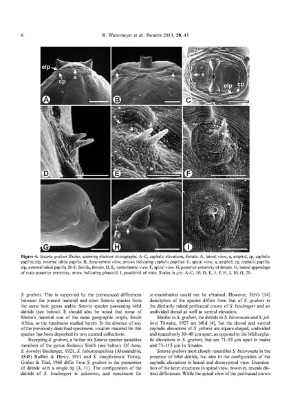 ملف:Parasite journal) 2013, 20, 43, Watermeyer, Setaria.pdf