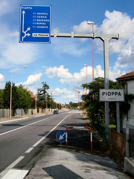 ملف:Pioppa (Cesena).jpg